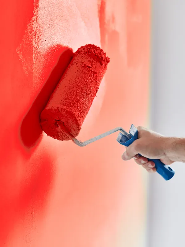 Diego Painting LLC